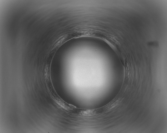 X0000053010092200507221325