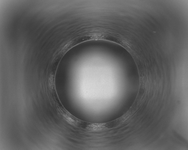 X0000053010093200507221325