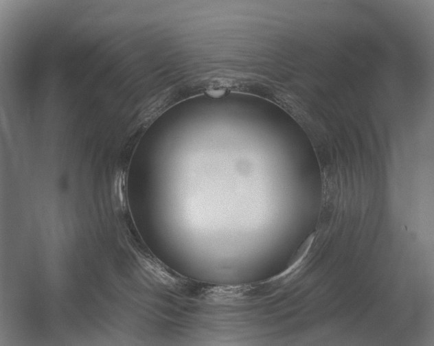 X0000053010094200507221325