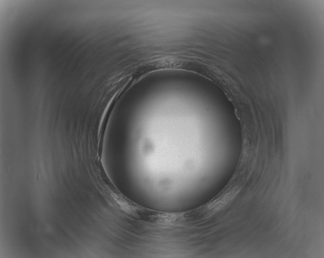 X0000053010096200507221325