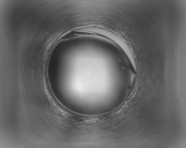 X0000053010097200507221324