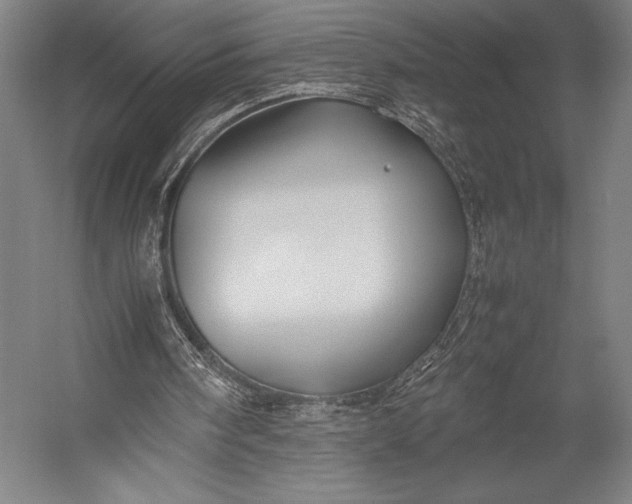 X0000053010098200507221324