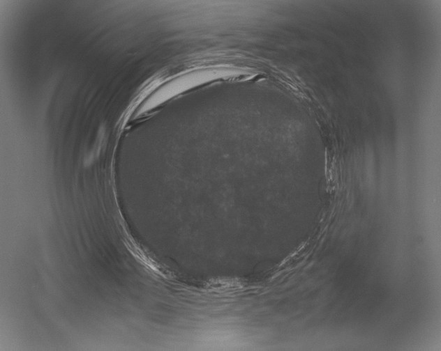 X0000053010099200507221324