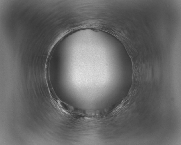 X0000053010100200507221324