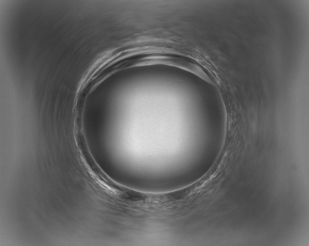 X0000053010101200507221324