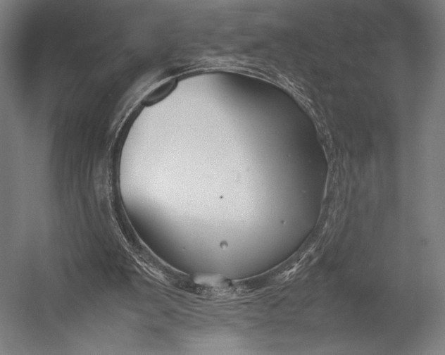 X0000053010103200507221324