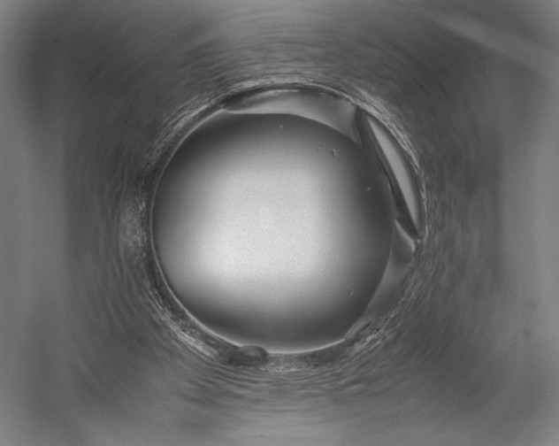 X0000053010105200507221324