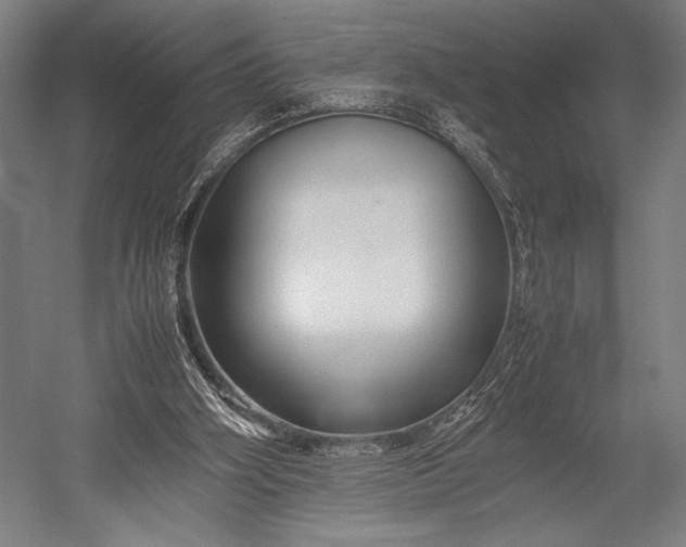 X0000053010106200507221324