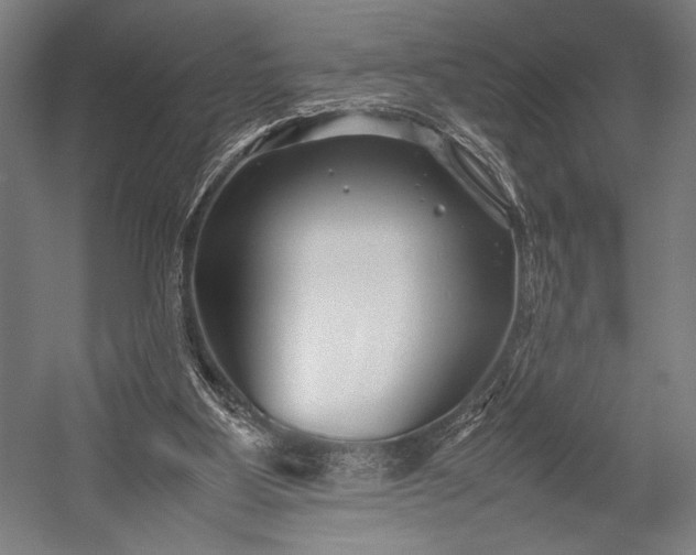 X0000053010107200507221324