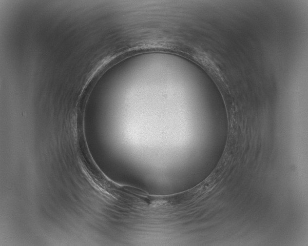 X0000053010108200507221324