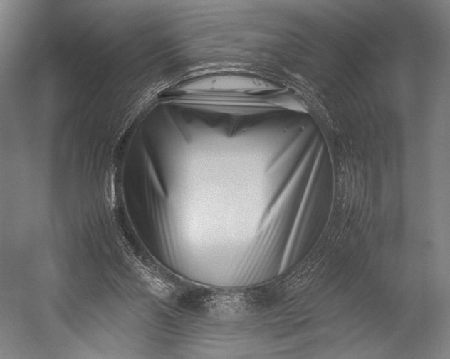 X0000053010110200507221324