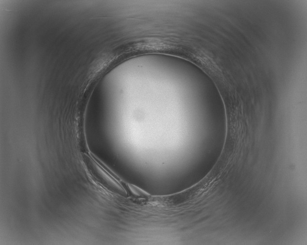 X0000053010111200507221324