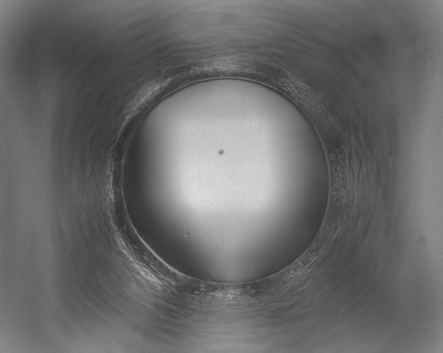 X0000053010112200507221324