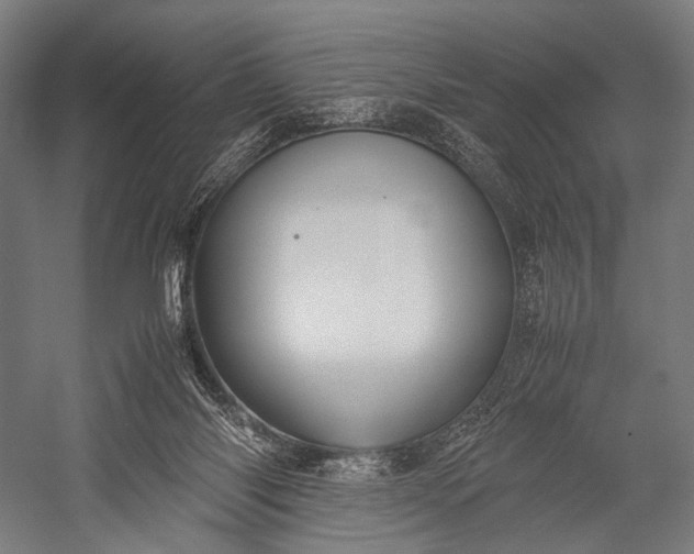 X0000053010118200507221323