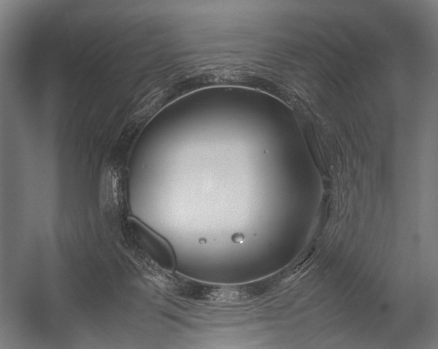 X0000053010123200507221323