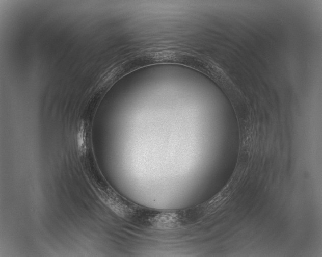 X0000053010124200507221323