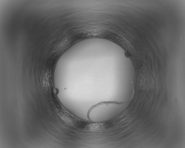 X0000053010126200507221323