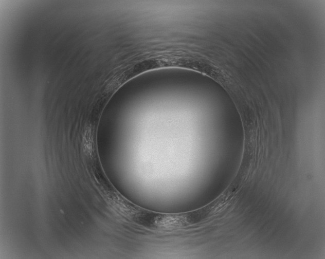 X0000053010129200507221323