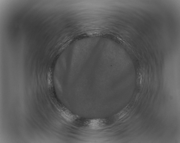 X0000053010130200507221323