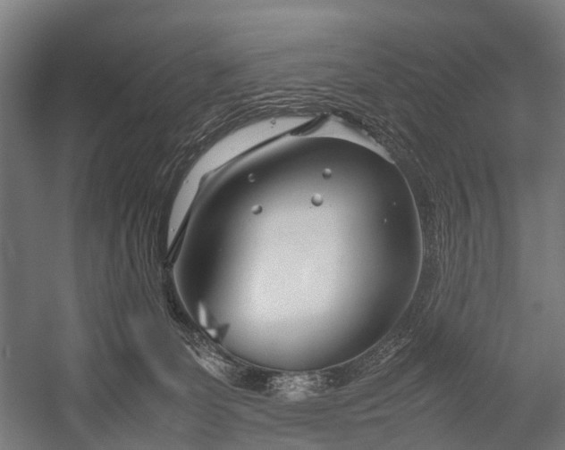 X0000053010131200507221323