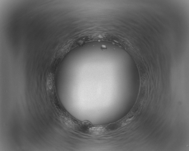 X0000053010133200507221323