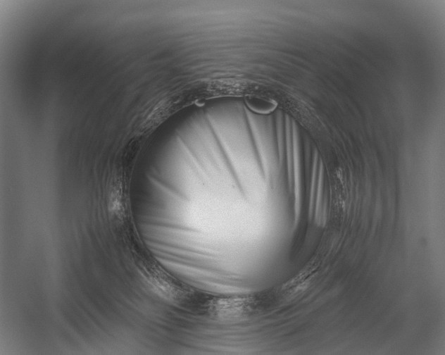 X0000053010134200507221323