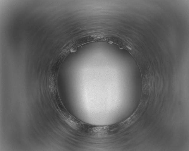 X0000053010136200507221323