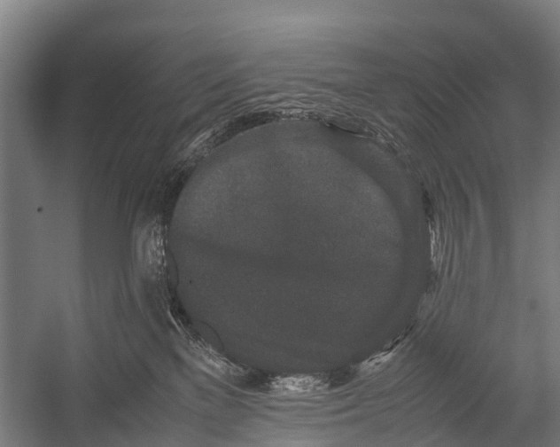 X0000053010137200507221323