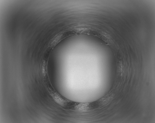 X0000053010138200507221323