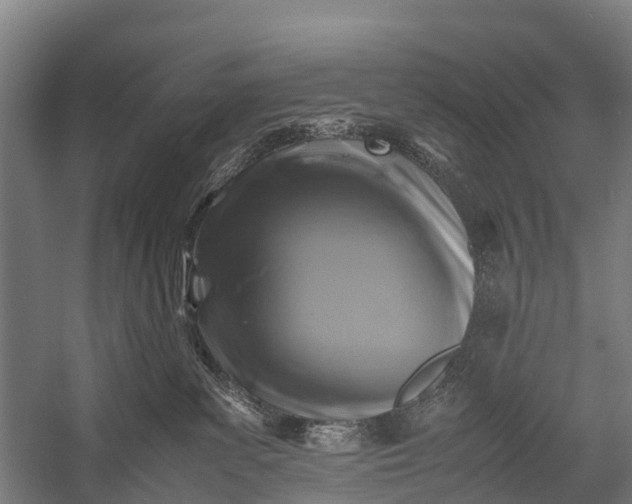 X0000053010139200507221323