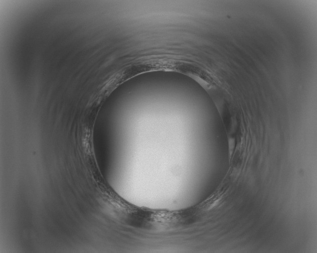 X0000053010141200507221323