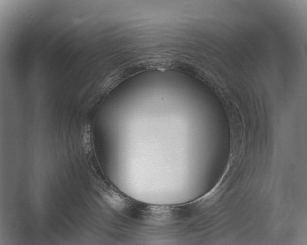 X0000053010144200507221323