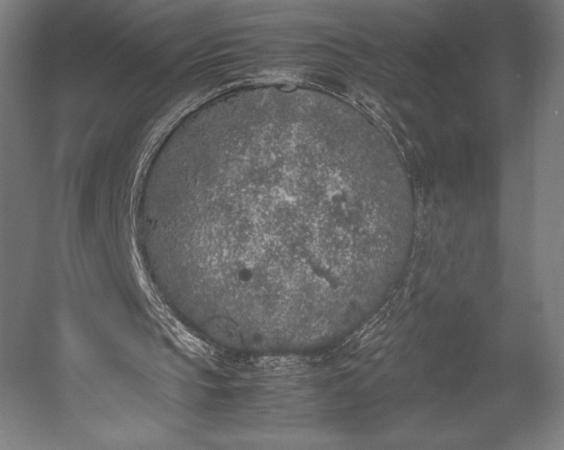 X0000053010145200507221322