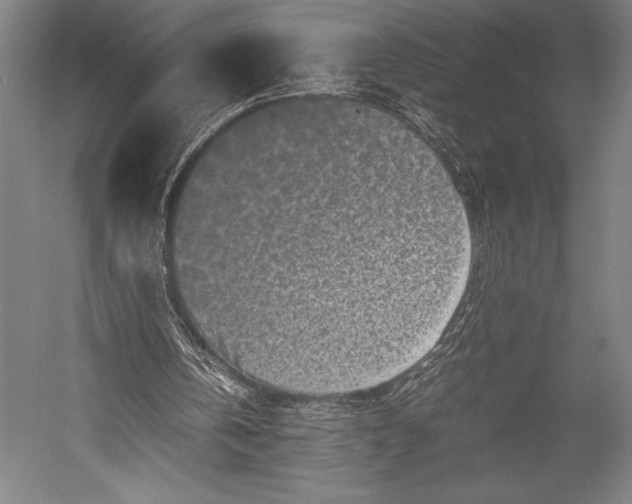 X0000053010146200507221322