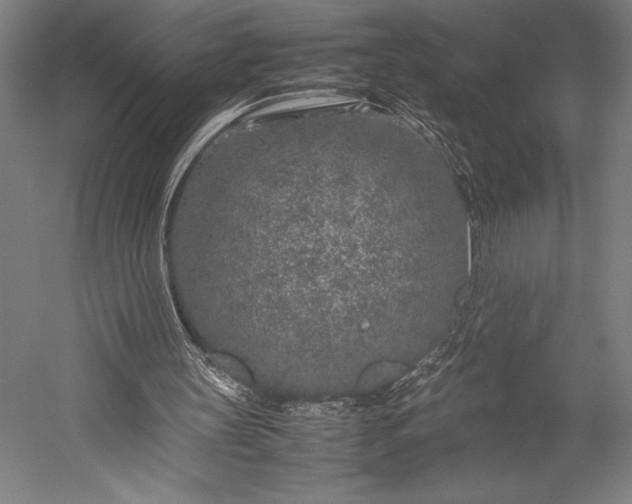 X0000053010147200507221322