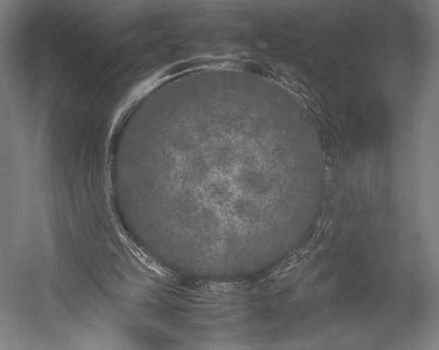 X0000053010149200507221322