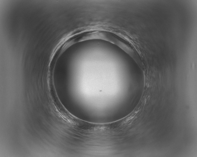 X0000053010152200507221322