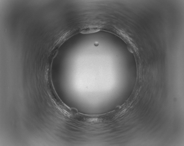 X0000053010153200507221322