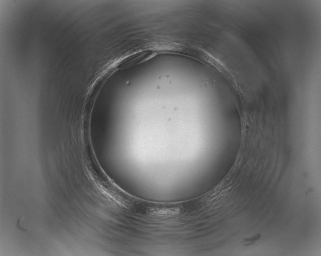 X0000053010155200507221322