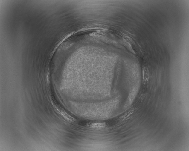 X0000053010156200507221322