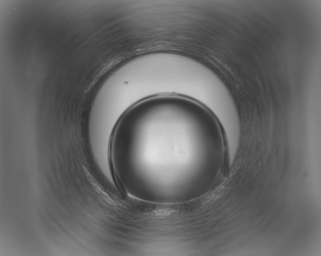 X0000053010158200507221322