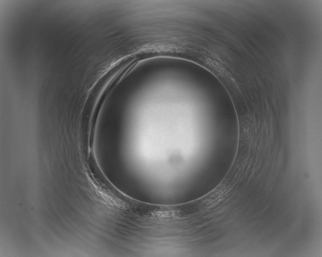 X0000053010160200507221322