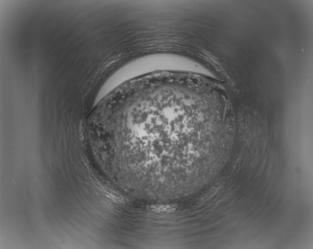 X0000053010161200507221322