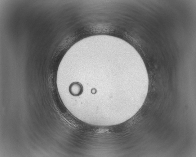 X0000053010162200507221322