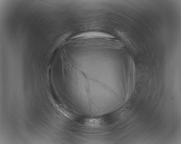 X0000053010163200507221322