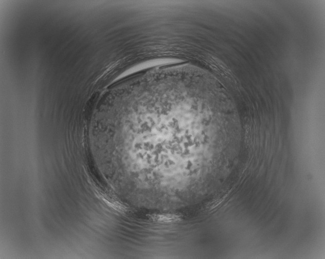 X0000053010165200507221322