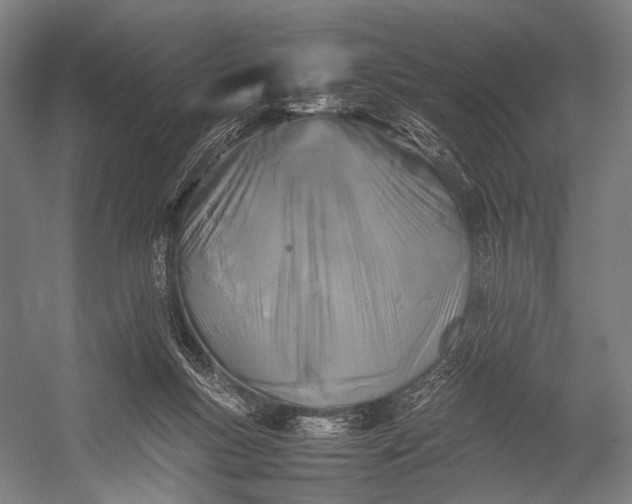 X0000053010167200507221323