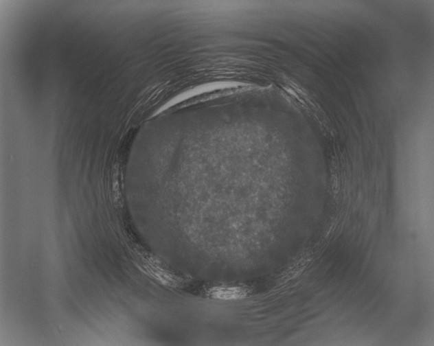 X0000053010169200507221323