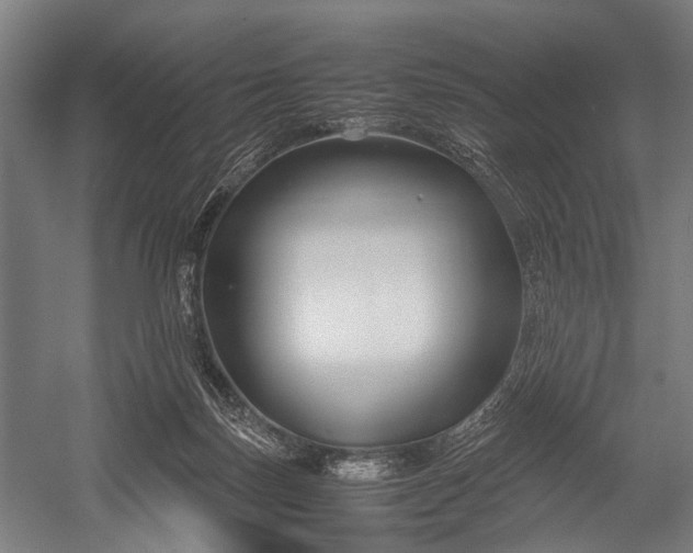 X0000053010171200507221323