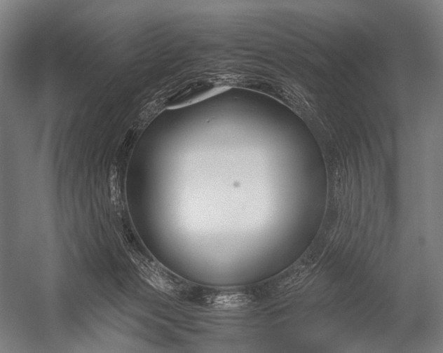 X0000053010173200507221323